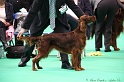 Crufts2011 306